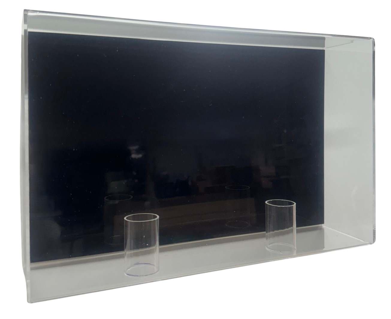 Acrylic MMA Double Glove Display Case Wall Mount UV Protectant UFC Full Size