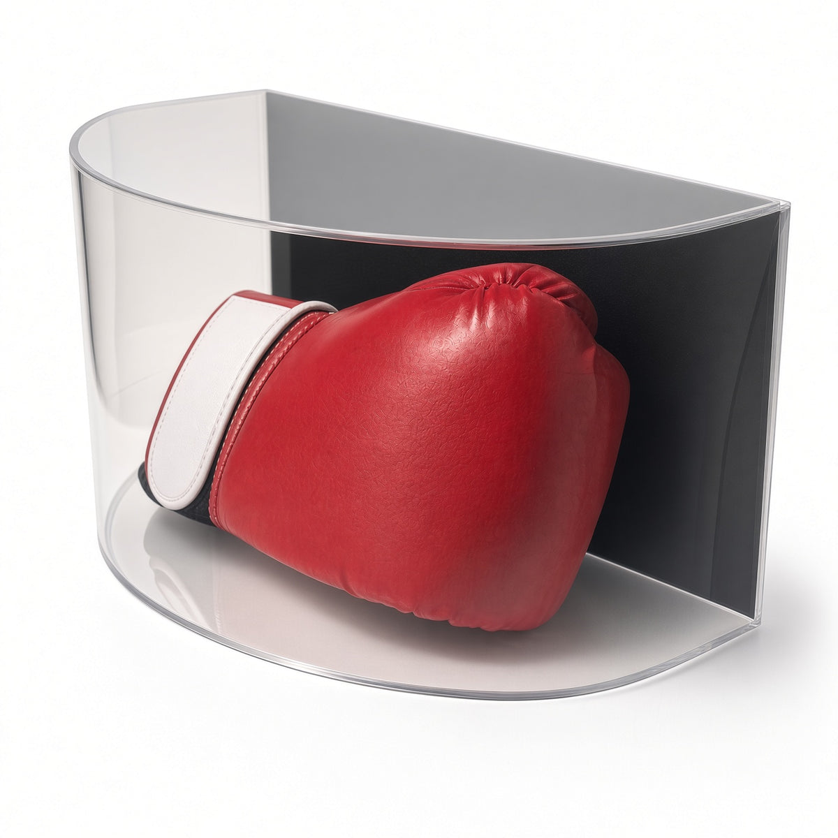 Side view of the curved boxing glove display case with a glove inside