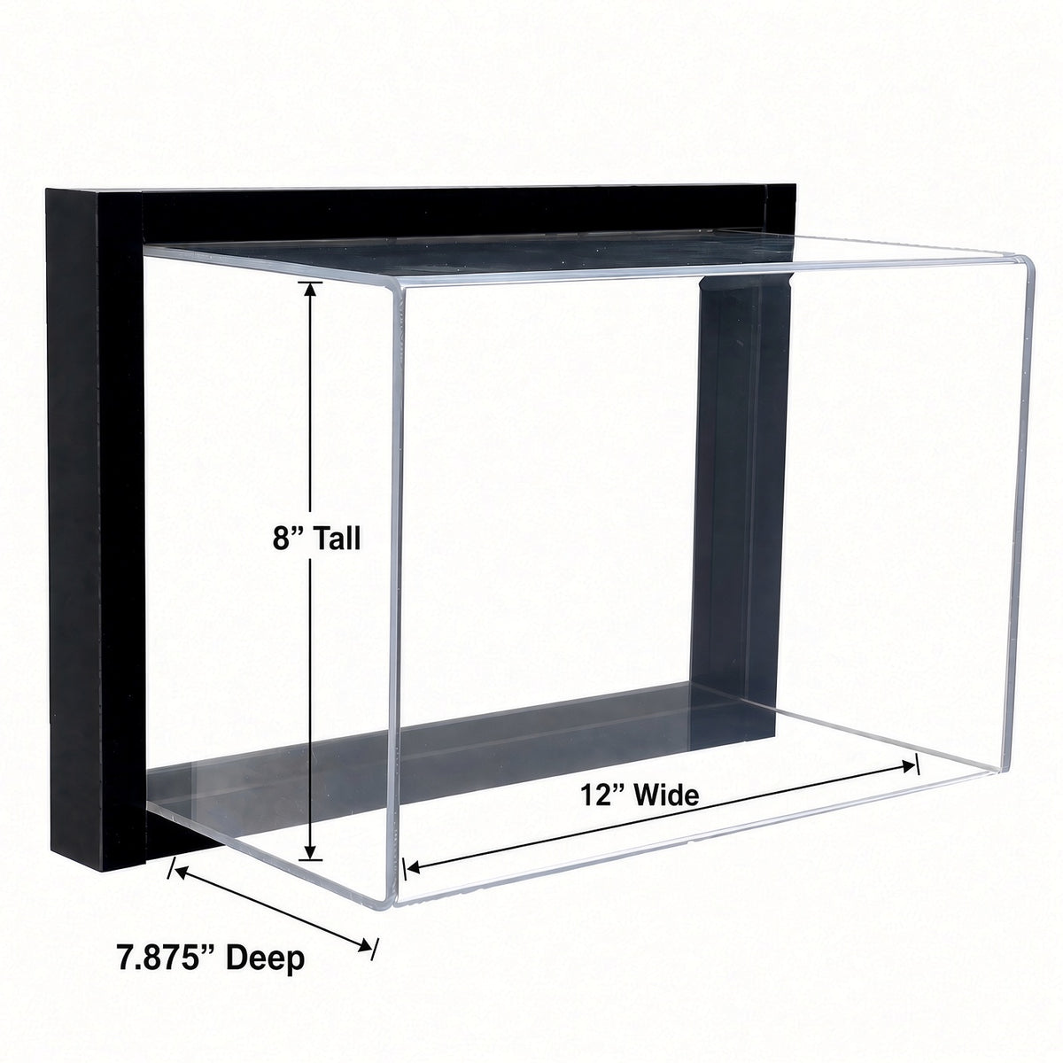 Empty framed football case with 8 inch height, 7.875 inch depth and 12 inch width marked