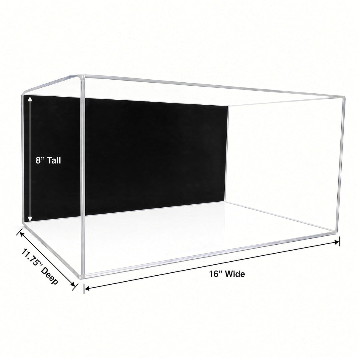 Empty large shoe pair case with 16 inch width, 8 inch height and 11.75 inch depth marked