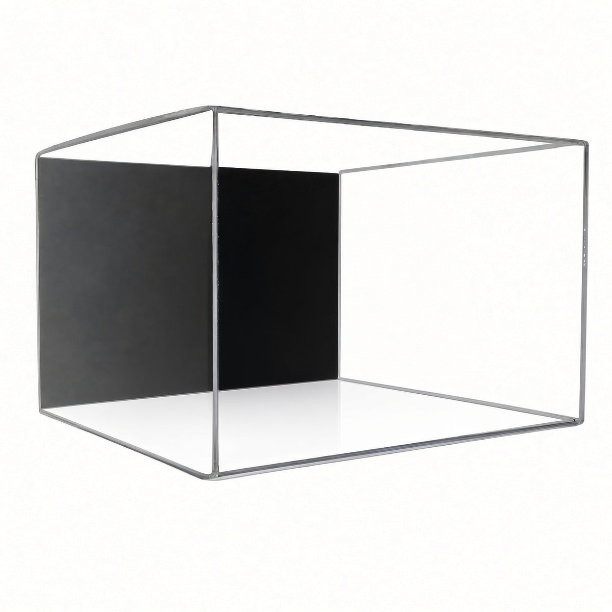 Empty small shoe pair wall mount display case